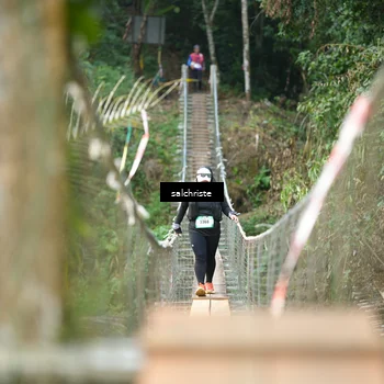 Runner Photo 5220495