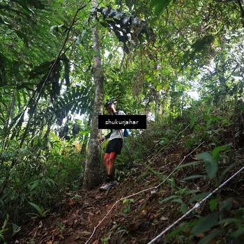 Runner Photo 5220582