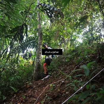 Runner Photo 5220583