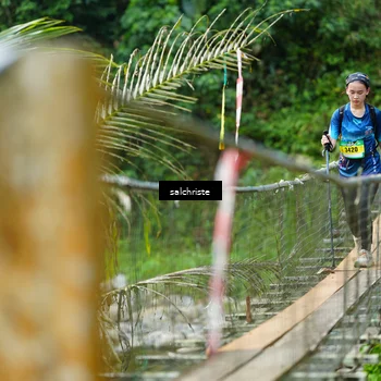 Runner Photo 5220642
