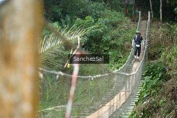 Runner Photo 5220683