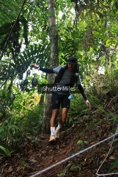 Runner Photo 5220695