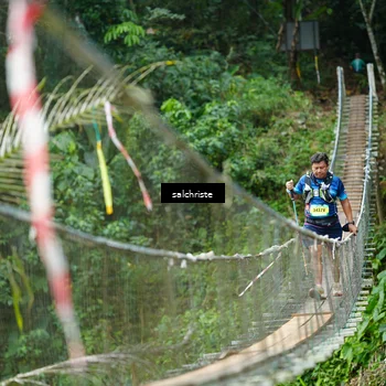 Runner Photo 5220738