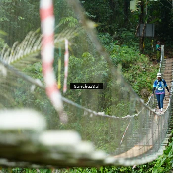 Runner Photo 5220746