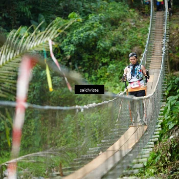 Runner Photo 5220859