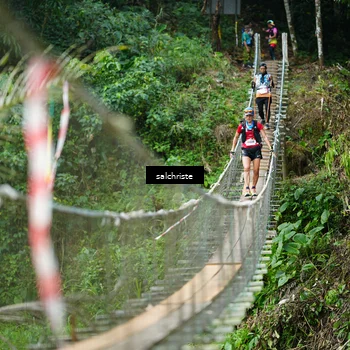 Runner Photo 5220864