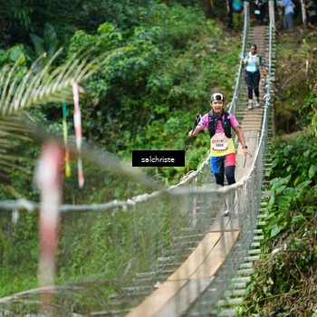 Runner Photo 5220887