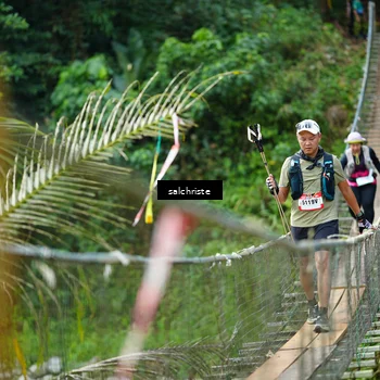 Runner Photo 5220919