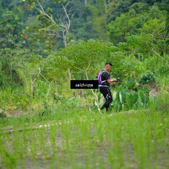 Runner Photo 5220940