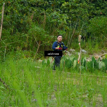 Runner Photo 5220946