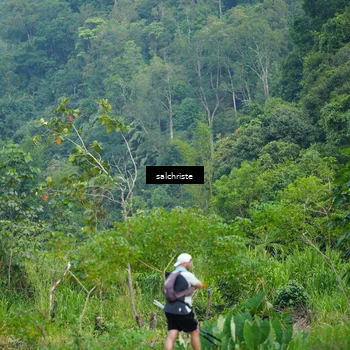 Runner Photo 5220951