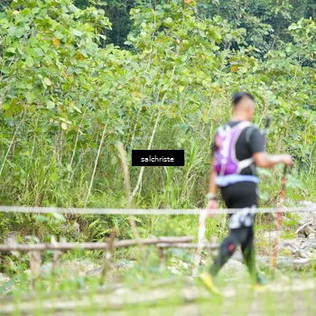 Runner Photo 5220953