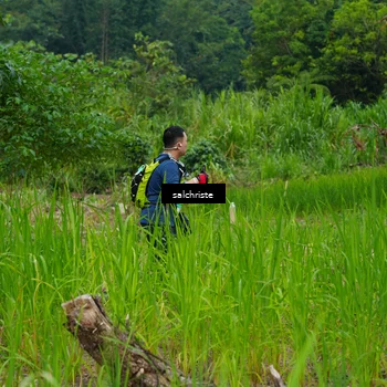 Runner Photo 5220970