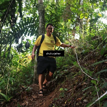 Runner Photo 5220982