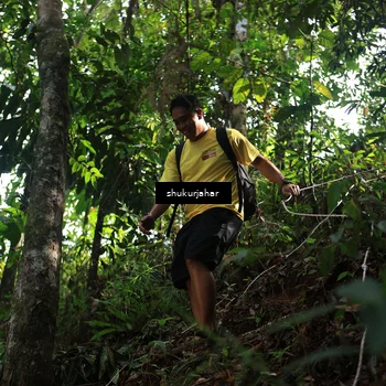 Runner Photo 5221002
