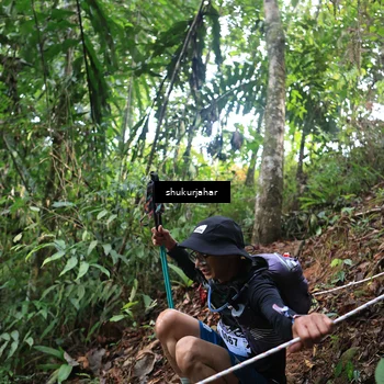 Runner Photo 5221092