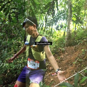 Runner Photo 5221130