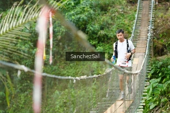 Runner Photo 5221181