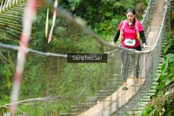 Runner Photo 5221194