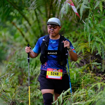Runner Photo 5221496