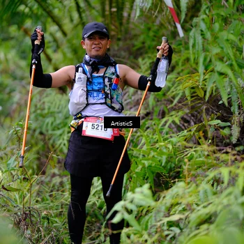 Runner Photo 5221540