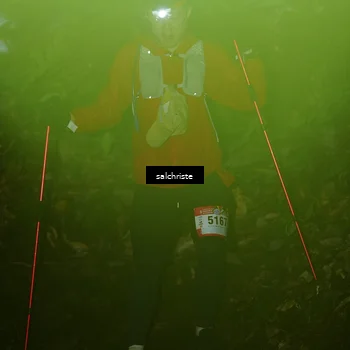 Runner Photo 5221643