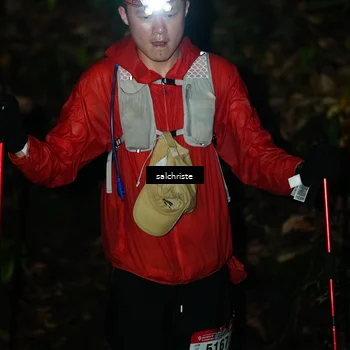 Runner Photo 5221645