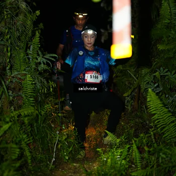 Runner Photo 5221710