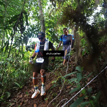 Runner Photo 5221767
