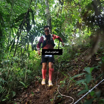 Runner Photo 5222136