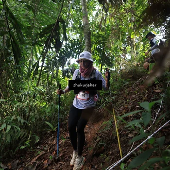 Runner Photo 5222414