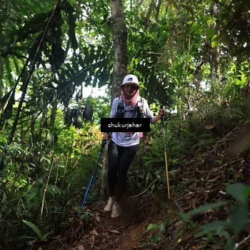 Runner Photo 5222486