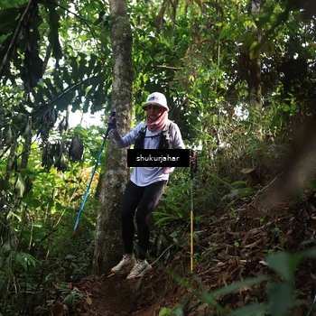 Runner Photo 5222491