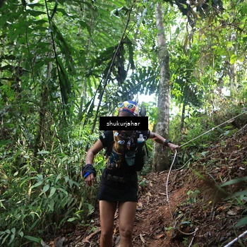 Runner Photo 5222618