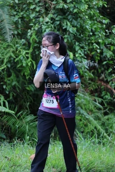 Runner Photo 5222648