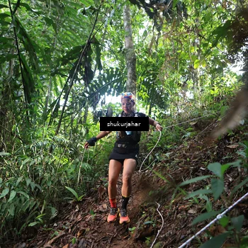 Runner Photo 5222655