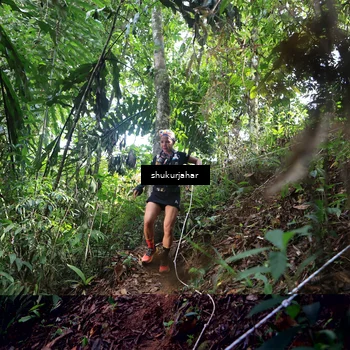 Runner Photo 5222671