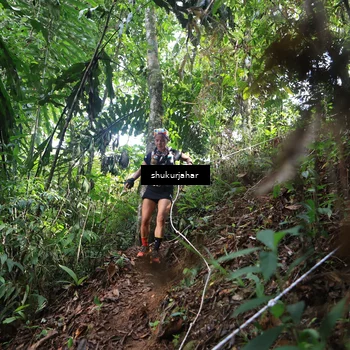 Runner Photo 5222694