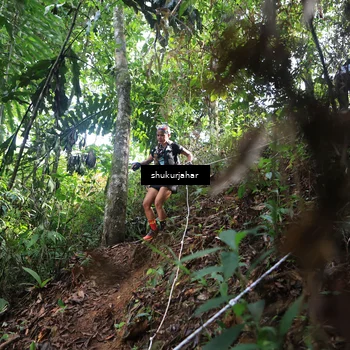 Runner Photo 5222699
