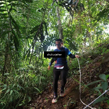 Runner Photo 5223095