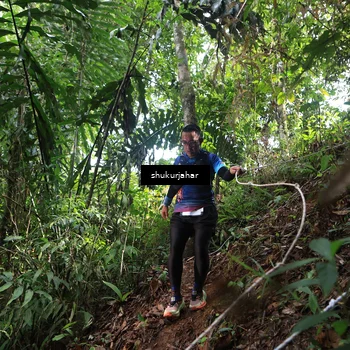 Runner Photo 5223101