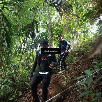 Runner Photo 5223161