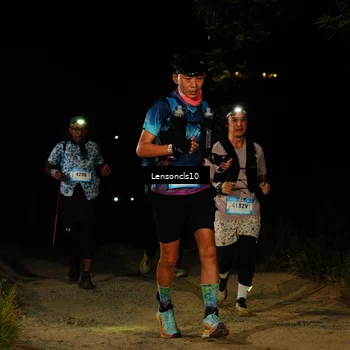 Runner Photo 5223195