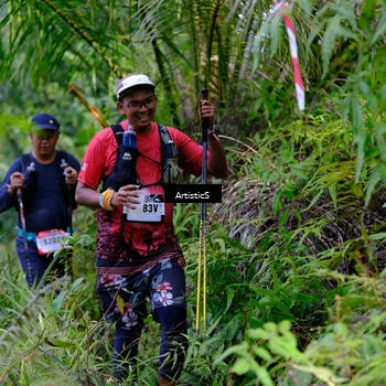 Runner Photo 5223219