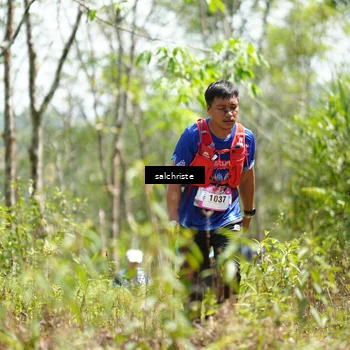 Runner Photo 5223516