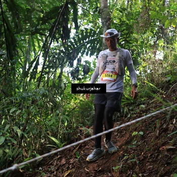 Runner Photo 5223696
