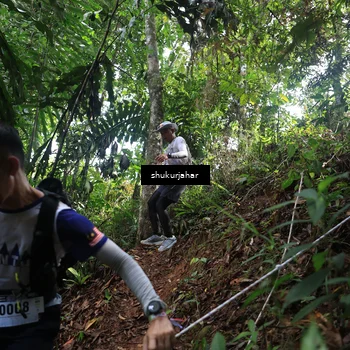 Runner Photo 5223730