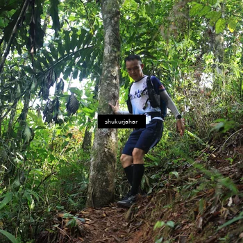 Runner Photo 5223778
