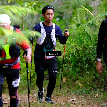 Runner Photo 5223783