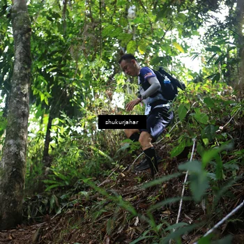 Runner Photo 5223793